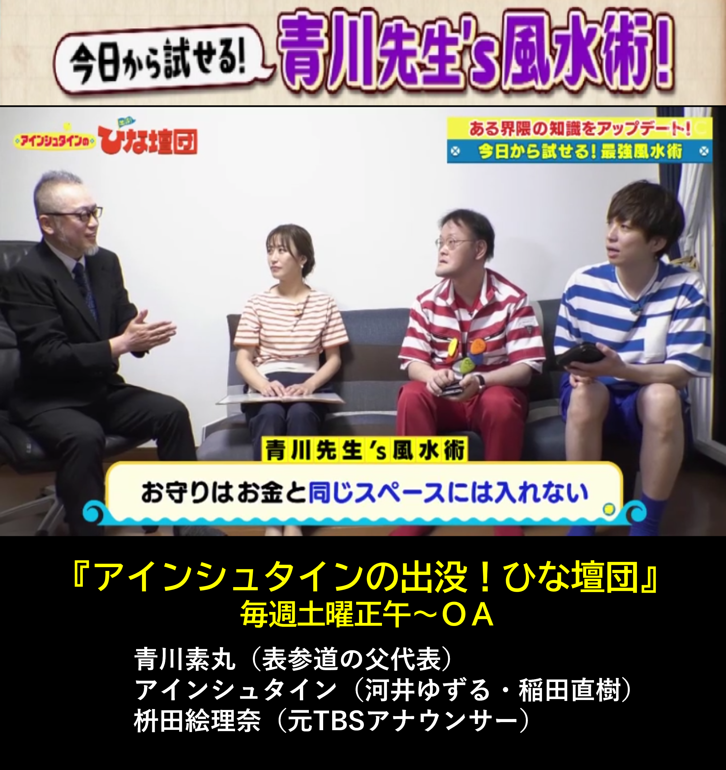 テレビ番組「ひな壇団」出演